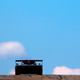 Image for article titled Six Things To Watch For In Today’s Tudor USCC Race At Watkins Glen